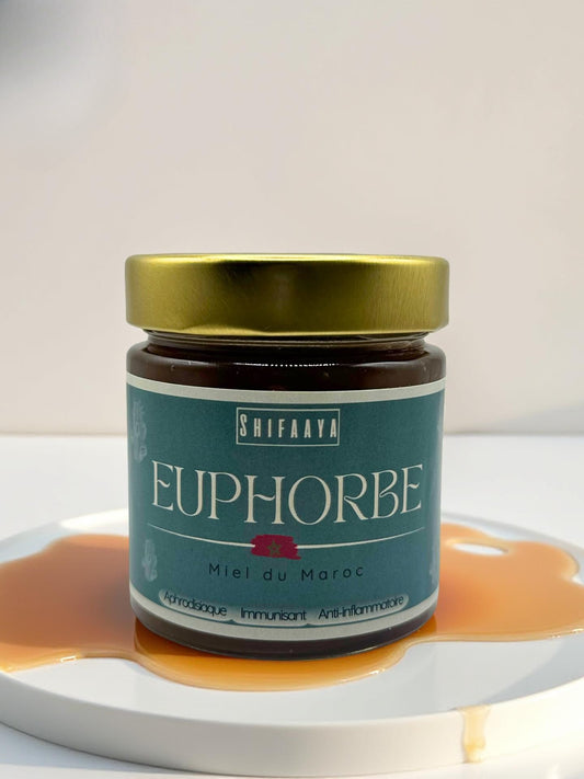 Miel d’Euphorbe du Maroc - SHIFAAYA -
